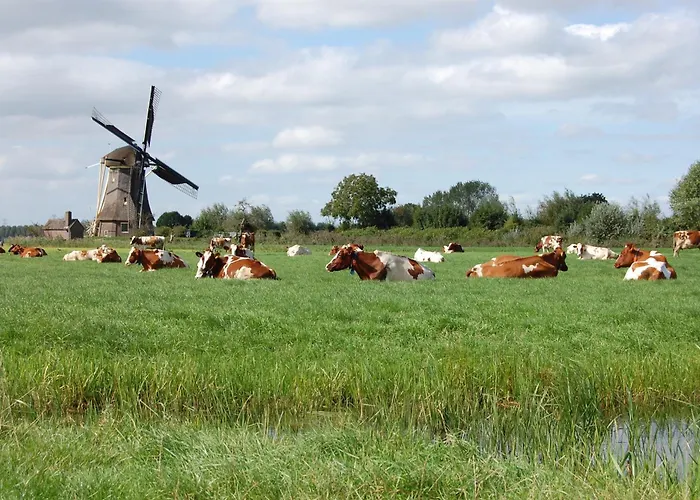 De Willigen Logies