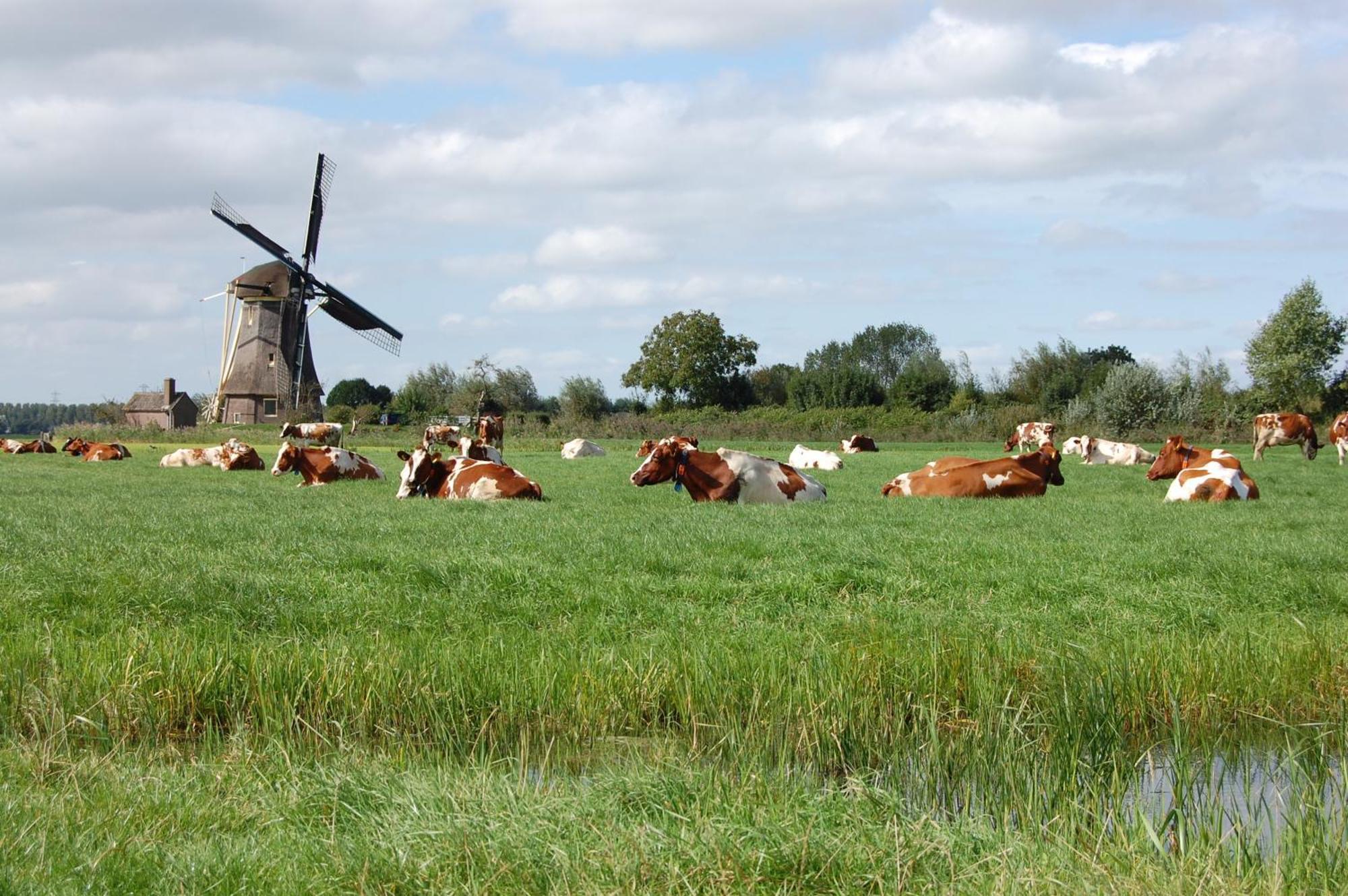 De Willigen Logies 3*