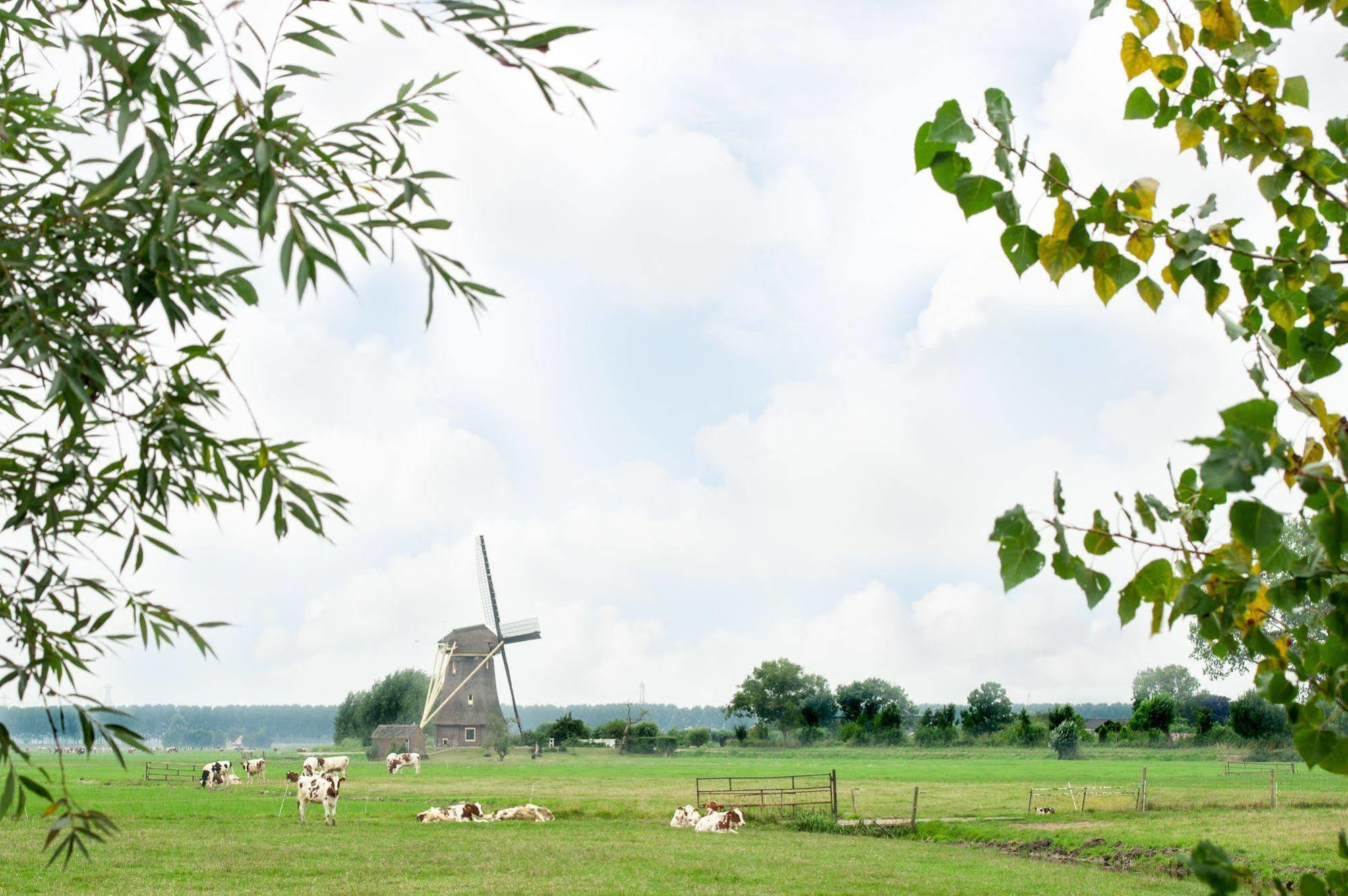 De Willigen Logies